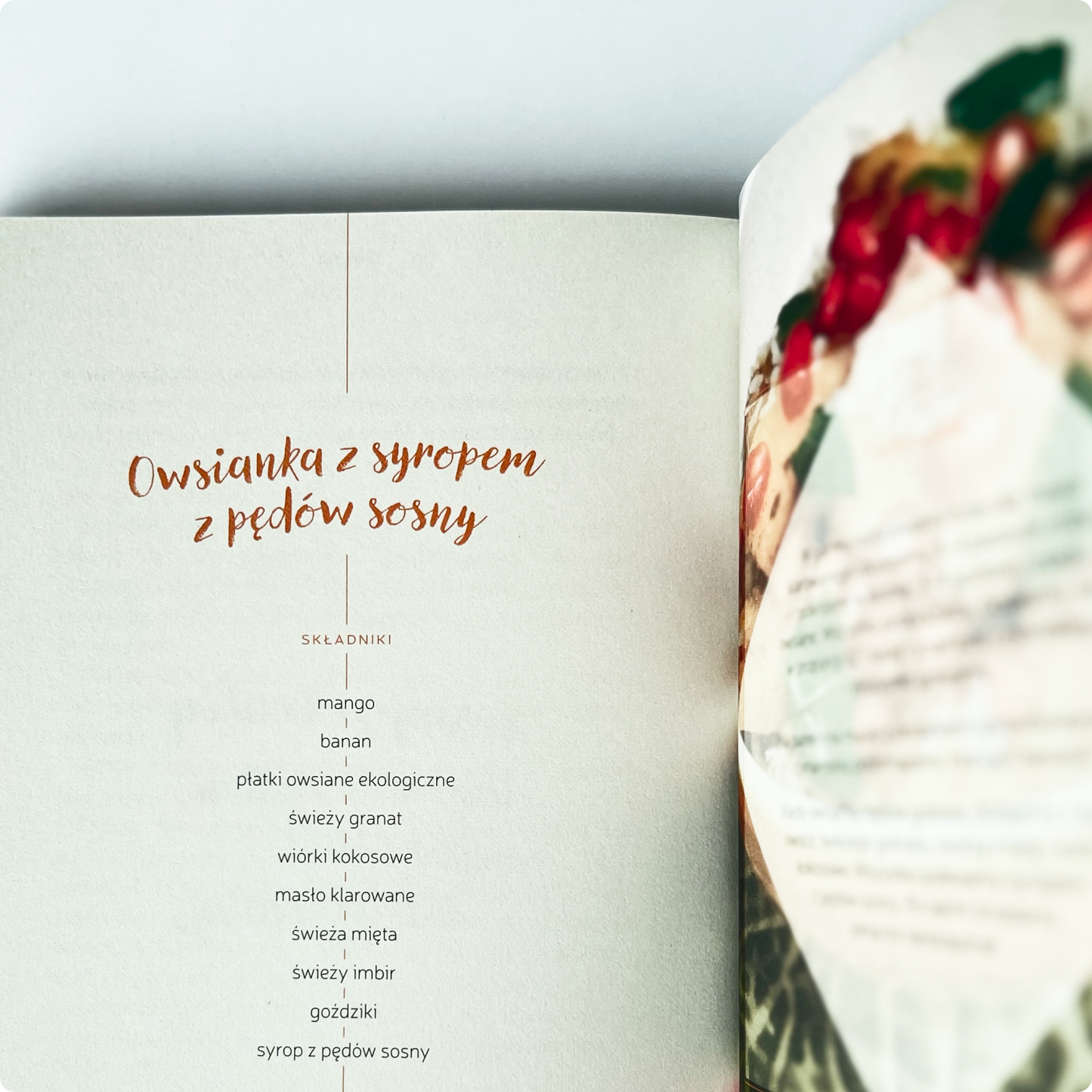 Strona książki z przepisem na owsiankę z syropem z pędów sosny, mango, bananem, płatkami owsianymi, granatem, wiórkami kokosowymi, imbirem i goździkami – składniki przedstawione w minimalistycznej kompozycji.
