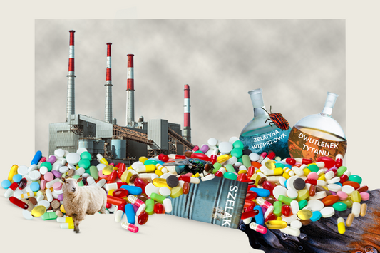 Szkodliwe lub nieetyczne dodatki do suplementów diety – dwutlenek tytanu, barwniki, chemia, żelatyna, szelak.