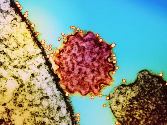 Kolorowa mikrofotografia wirusa przy powierzchni komórki, symbolizująca działanie układu odpornościowego i znaczenie codziennych nawyków we wzmacnianiu odporności.