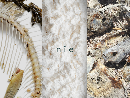 Okładka artykułu nikalab: „Kolagen w suplementach – dlaczego nikalab mówi NIE? Fakty, badania i etyczna alternatywa” – ilustracja symbolizująca suplementy kolagenowe i ich etyczną alternatywę.