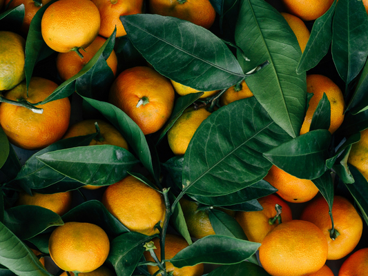 Świeże pomarańcze z zielonymi liśćmi w naturalnym świetle, symbolizujące intensywne, energetyzujące aromaty.