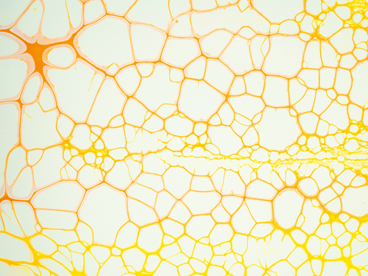 Abstrakcyjna struktura komórkowa symbolizująca wpływ witaminy D na proces starzenia komórek.