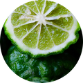 Bergamotka