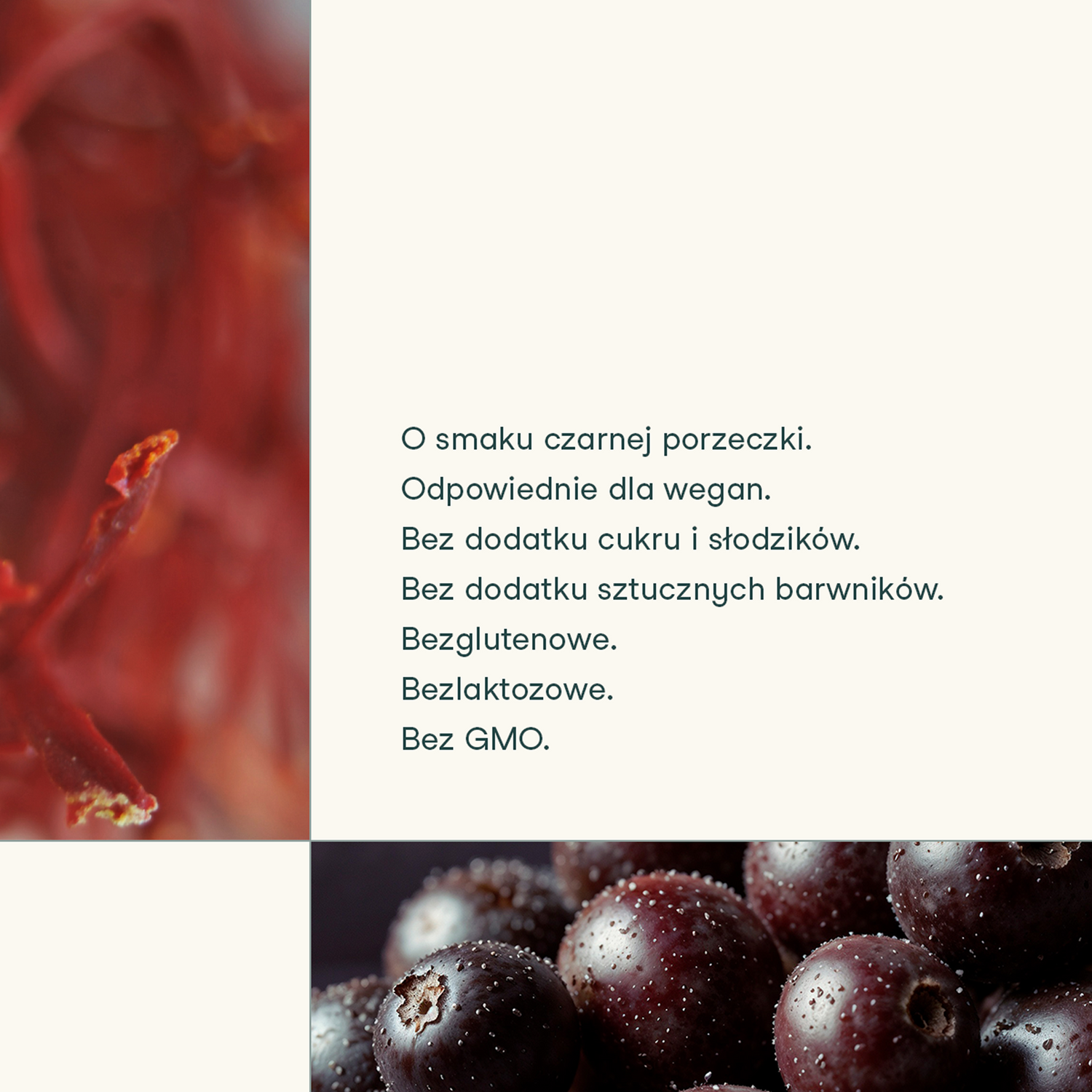 Grafika przedstawiająca cechy suplementu diety nikalab Kontroluj stres, w tym wegańską formułę, brak cukru, GMO i alergenów.