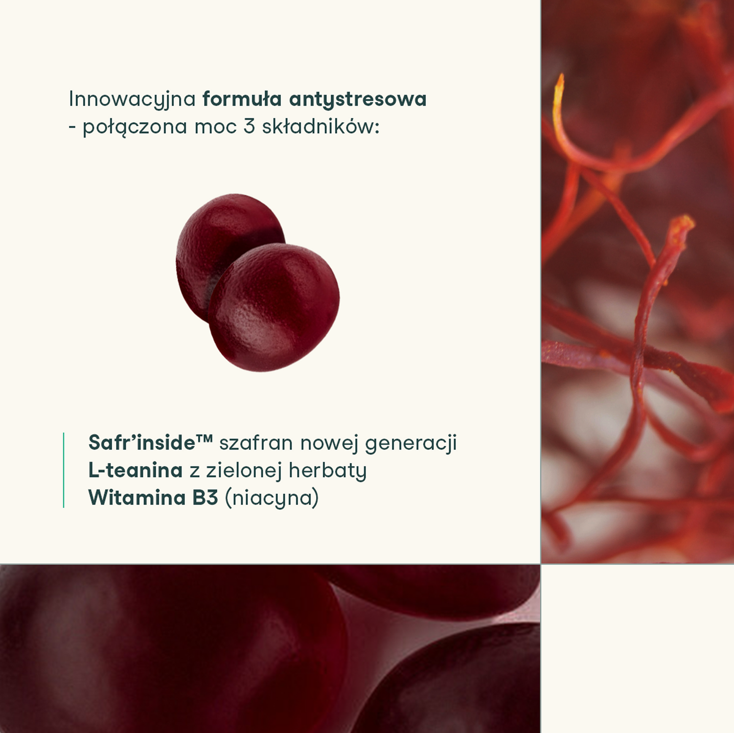 Grafika prezentująca formułę antystresową suplementu nikalab Kontroluj stres oraz kluczowe składniki: Safr’inside, L-teaninę i witaminę B3.