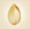 Lipowheat™
