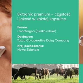Grafika informacyjna nikalab: składnik premium – czystość i jakość w każdej kapsułce. Forma: Laktoferyna (białko mleka), dostawca: Tatua Co-operative Dairy Company, kraj pochodzenia: Nowa Zelandia. Na dole zdjęcie krów pasących się na zielonej łące.