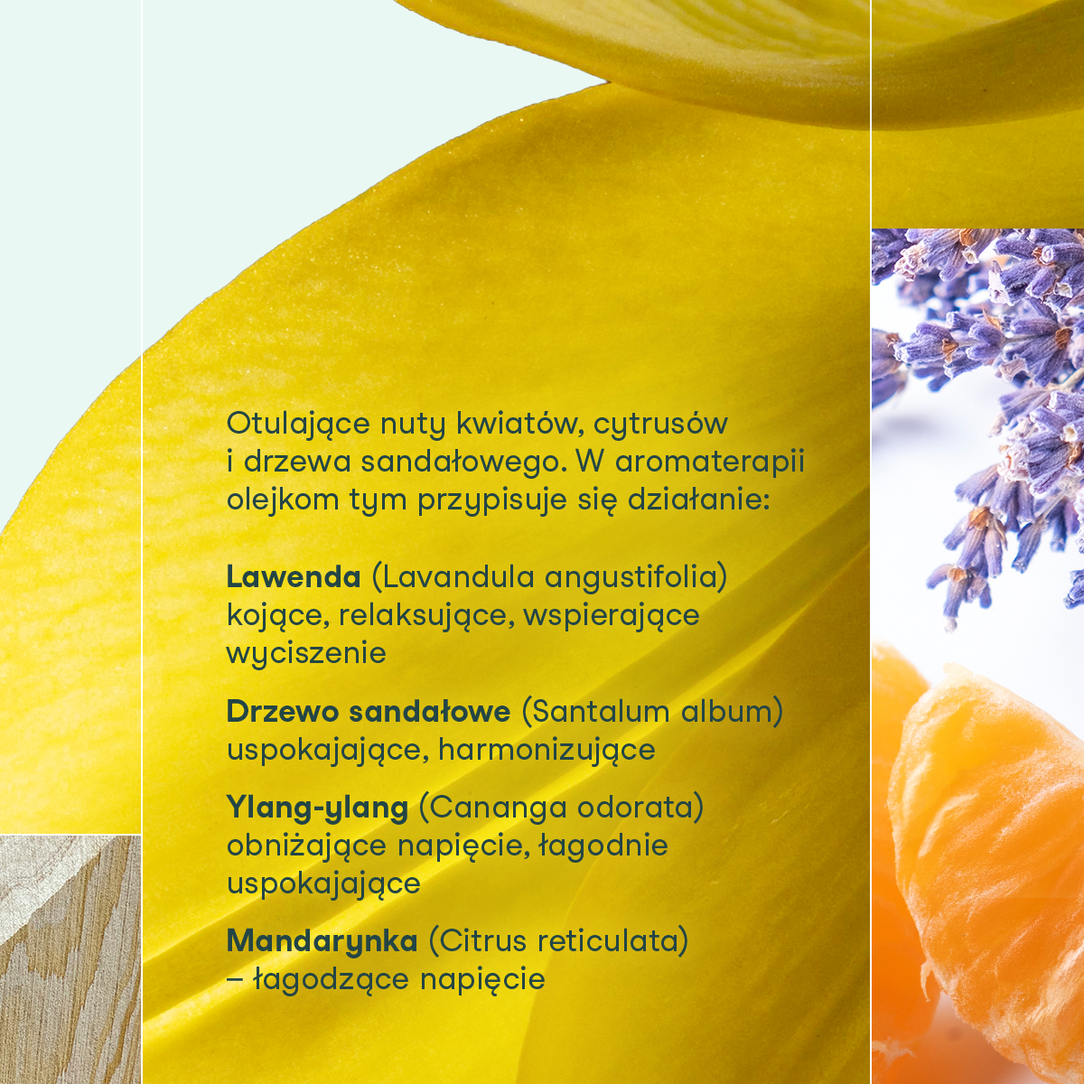 Grafika informacyjna przedstawiająca skład olejków eterycznych w płatkach magnezowych do kąpieli RELAKS od nikalab, z widoczną lawendą, ylang-ylang, mandarynką i elementami drzewa sandałowego oraz opisem ich działania.