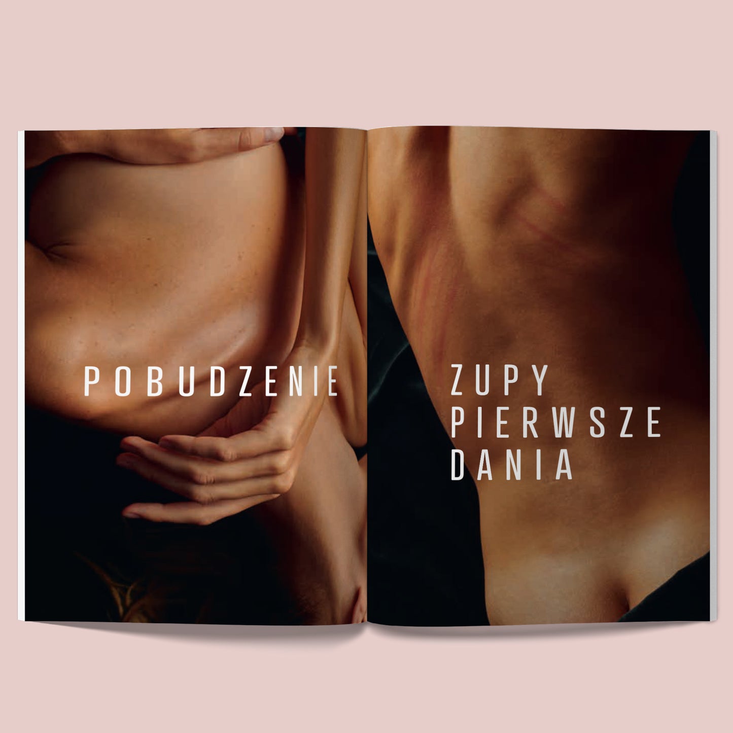 Rozkładówka książki „Sex & Cook. Miłość od kuchni” dostępnej w nikalab – artystyczne fotografie nagich ciał, po lewej stronie tytuł rozdziału „Pobudzenie”, po prawej „Zupy, pierwsze dania”.
