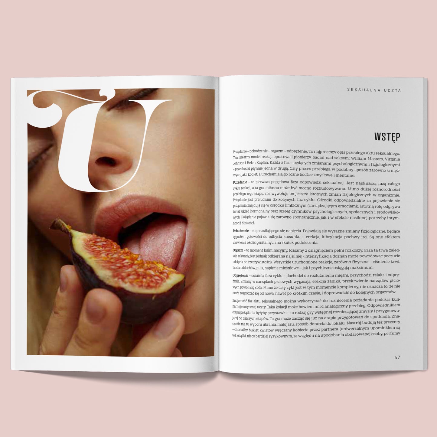 Rozkładówka książki „Sex & Cook. Miłość od kuchni” dostępnej w nikalab – po lewej stronie zbliżenie kobiecych ust i języka dotykających figi, po prawej wstęp z tekstem o seksualnej uczcie.